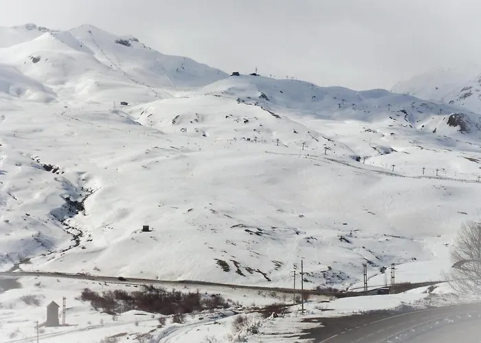 Apartamentos Formigal *